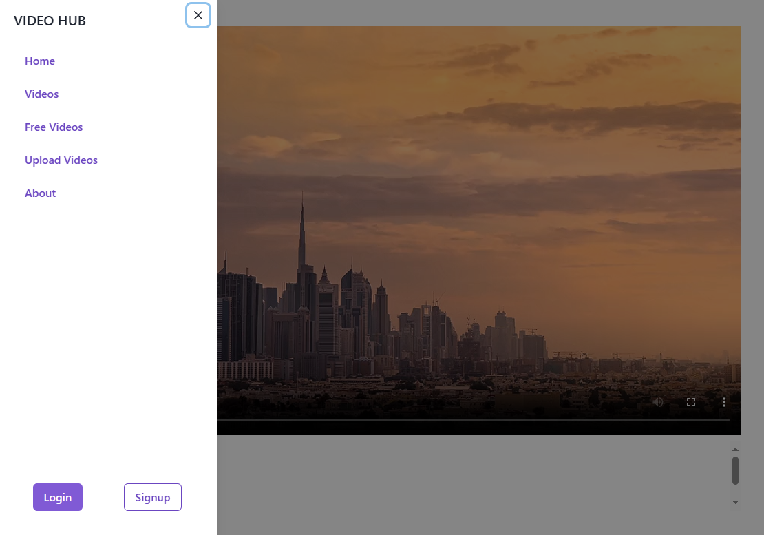 React Video Player Frontend